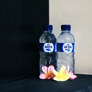 https://ulu-bali-homestay.hotelsseminyak.net